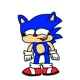 Stupid Sonic 