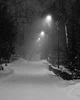 Girl in a cold night