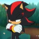Shadow- The hedgehog