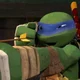 Leonardo hamato 2012