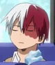 Shoto Todoroki 