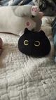 Gato de peluche