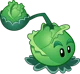 Cabbage pult 