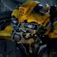 Bumblebee 