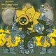 Narcissus