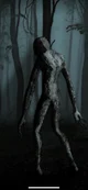 Skinwalker 