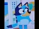Adult Bluey