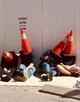 -Traffic Cone Pals-