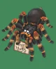 Giant Pet Spider 