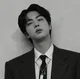 Kim Seokjin 
