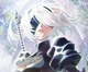 Nier automata 2b 