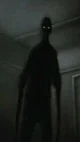 The Shadow man