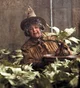 pomona sprout