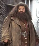 rubeus hagrid