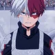 Todoroki shoto