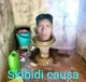 Skbidi causa