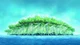 Strawhats