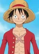 Monkey D Luffy