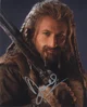 Fili