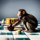 Chess Playing Monkey