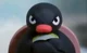 angry pingu