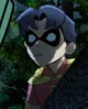 ROBIN Dick Grayson