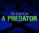 to catch a predator