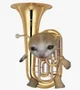 tuba