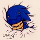 Baby sonic