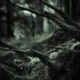 Mirkwood 