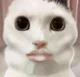 Mewing
