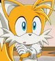 Tails The Fox