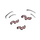 worm