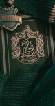 Slytherin Boys 