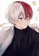 Todoroki Shoto