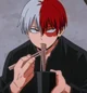 Shoto Todoroki 