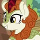 Autumn Blaze