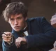 Newt Scamander 