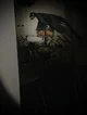 weird bird thing 3