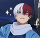 Shoto Todoroki