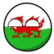 WalesBall