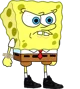 Yourboysponge