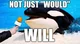 killer whale screen