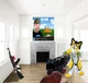 Furry in your home