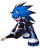 Punk sonic