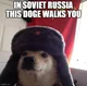 Soviet Doge
