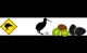 Kiwi Grassland