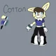 Cotton The Rabbit