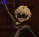 Chat Noir