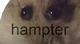 Hampter